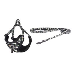 Dogness Walking set Leash 1,5m+harness for dog (Multicolor)