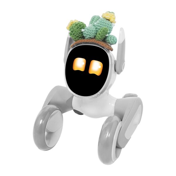 Πλεκτό Κοστούμι για το Loona Premium Cactus
