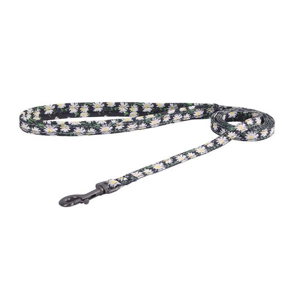 Dogness Walking set Leash 1,5m+harness for dog (Multicolor)