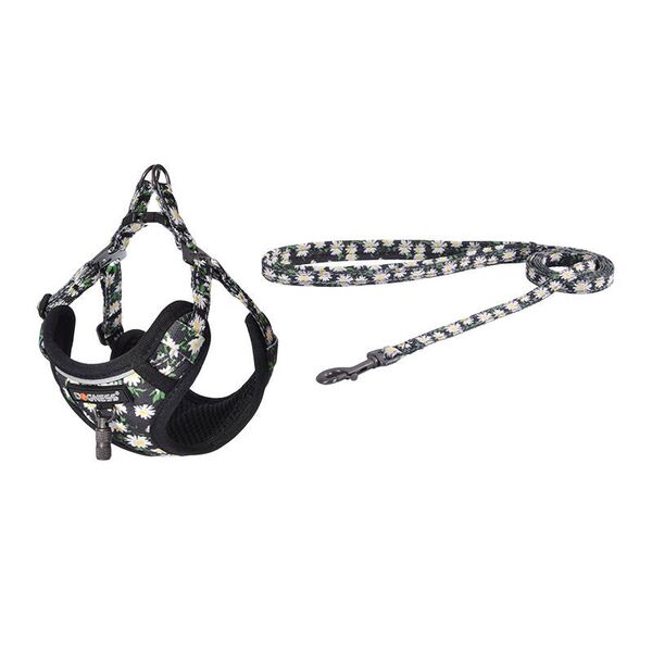 Dogness Walking set Leash 1,5m+harness for dog (Multicolor)